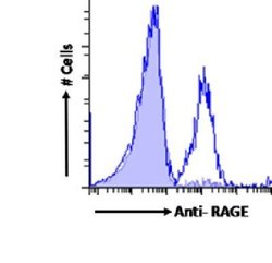 AGER Rabbit anti-Human, Clone: 2A11, Novus Biologicals 0.2 mg; Unconjugated:Antibodies,
